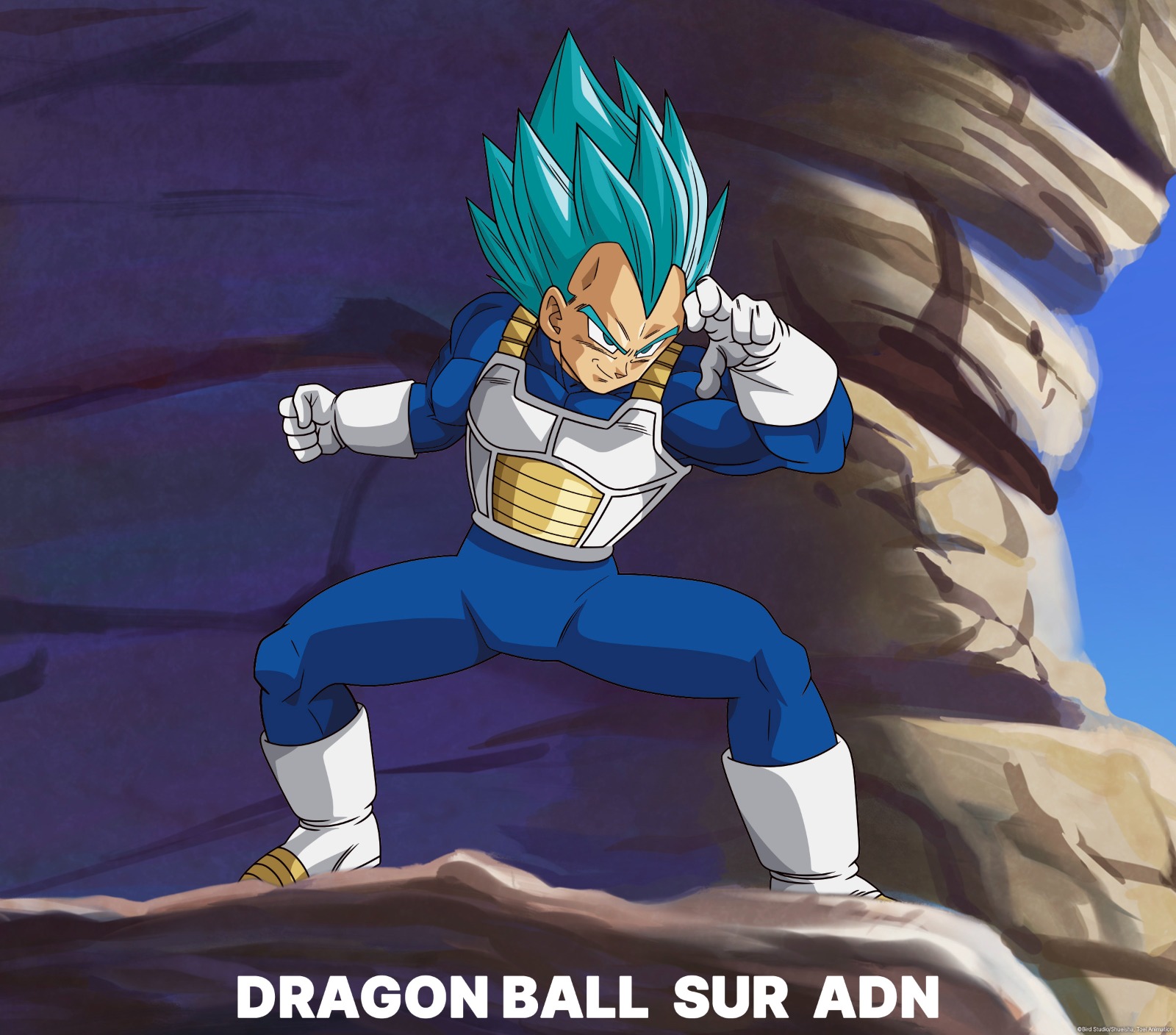 dragon-ball-super-2